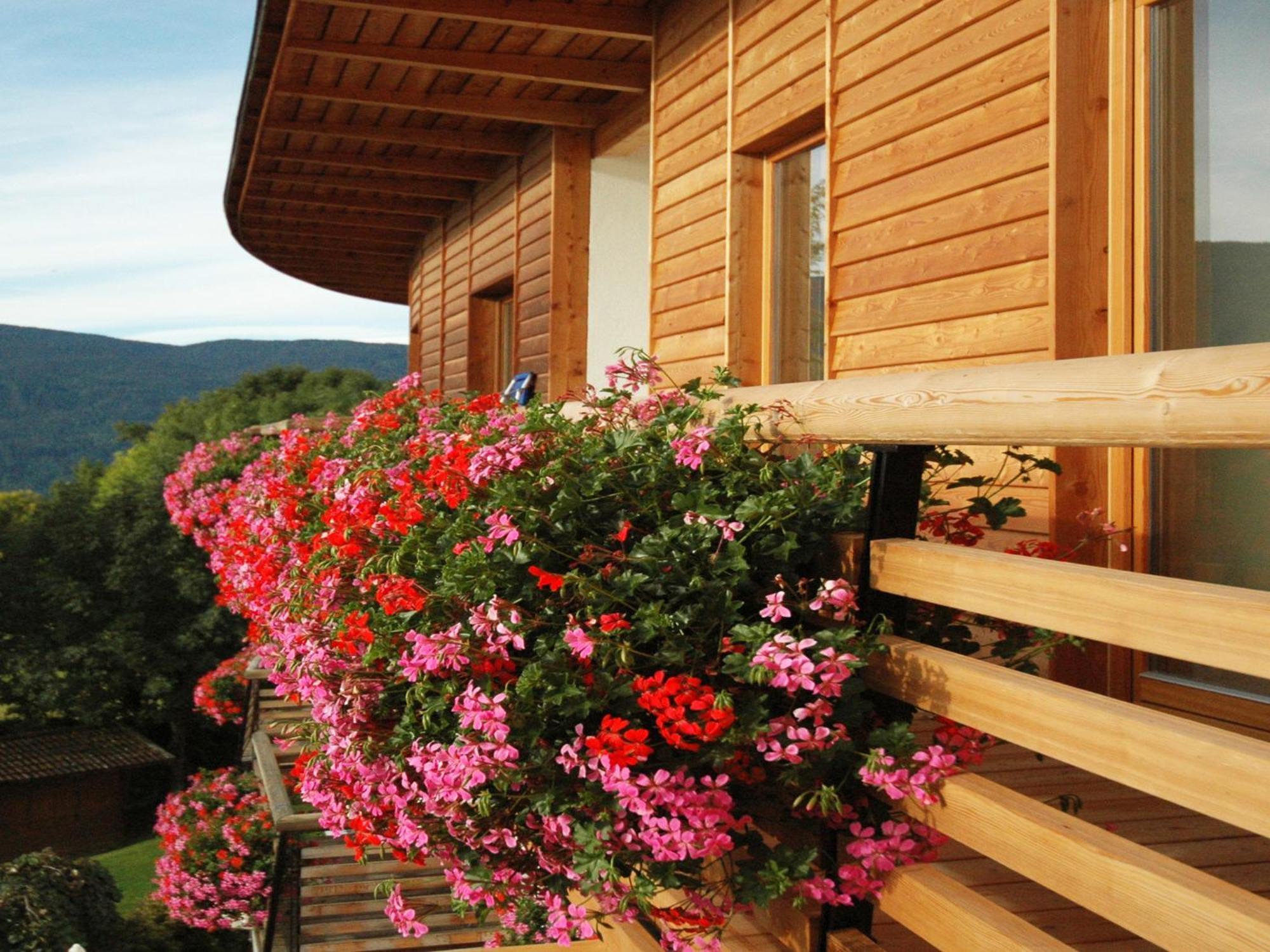 Hotel Dolomitenblick Terento Dış mekan fotoğraf